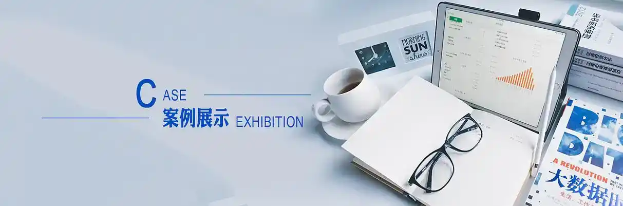 扶余县软件开发